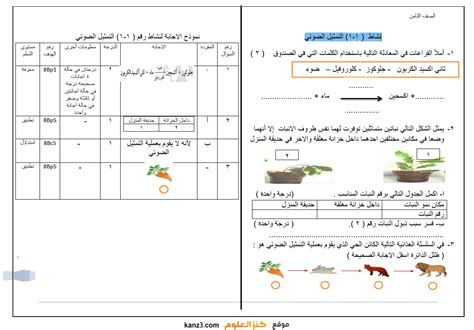 نشاط 1 1 التمثيل الضوئي لمادة العلوم للصف الثامن الفصل الاول مع الحل