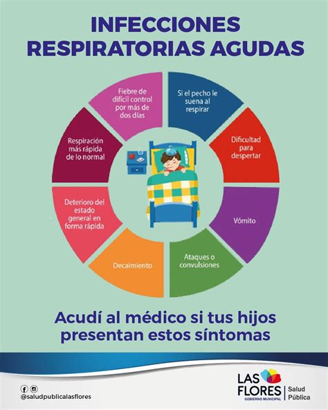 ACCIONES PREVENTIVAS ANTE LAS INFECCIONES RESPIRATORIAS AGUDAS BAJAS