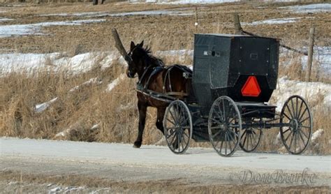 The Amish of Kalona, Iowa (32 Photos) - Amish America