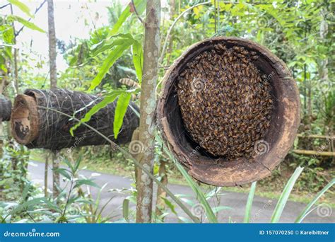 Bee Hives Made Of Bamboo Trunk And Wrapped With Coconut Palm Fibers In