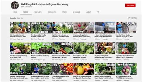 12 meilleures chaînes YouTube de jardinage pour l apprentissage