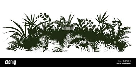 Green Meadow Jungle Rainforest Nature Landscape Silhouette Dense