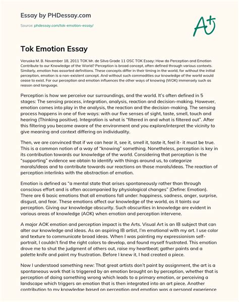 Tok Emotion Essay Narrative Example PHDessay