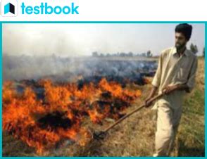 What is Stubble Burning? - Meaning, Causes & Its Effects | UPSC