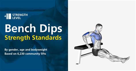 Dips Sur Banc Standards Pour Hommes Et Femmes Kg Strength Level