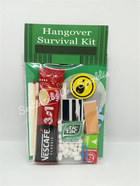 Hangover Survival Kit Novelty Gift Etsy