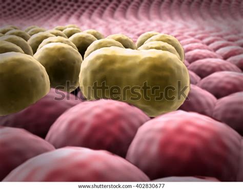 Cancer Cell 3d Rendered Cancer Cell Clusters Of Cells Microscopic Image Of Cells 3d