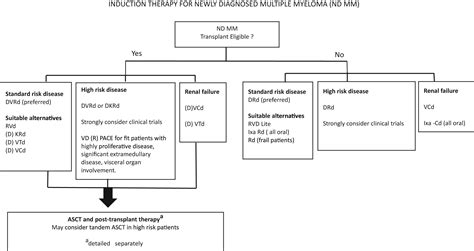 Management Of Newly Diagnosed Multiple Myeloma Today And In The Future