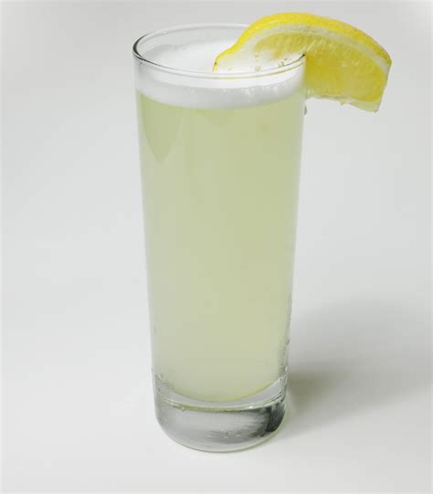 Gin Fizz Recipe | Crystal Mixer