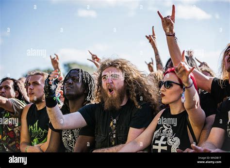 Music Festival Crowd Heavy Metal Music Festival Crowd Watching With