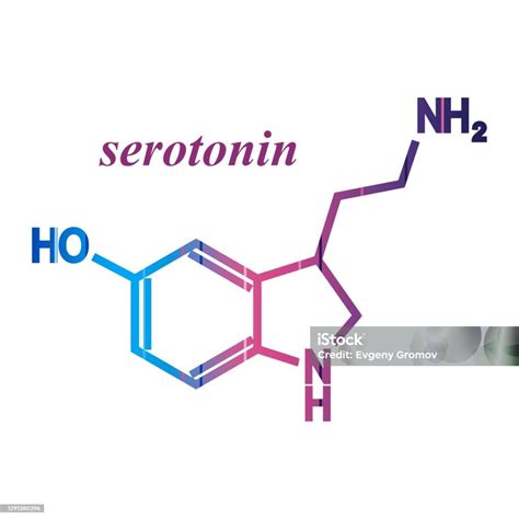 Serotonina É Um Hormônio - Vetores de Fórmula Hormônio Serotonina e mais imagens de Serotonina ...