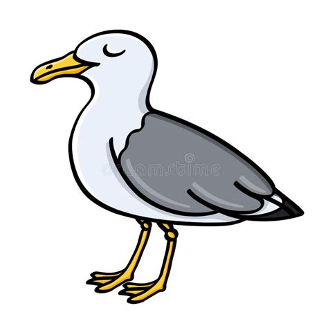 Illustration De Mouette Sur Le Fond Blanc Illustration Stock