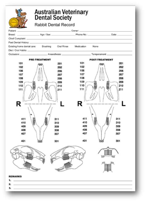 Veterinary Dental Charting For Dummies Blog Post