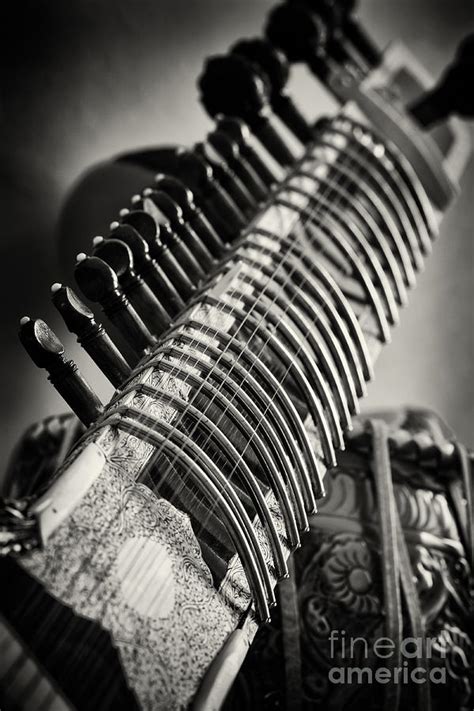 Sitar and Tabla Monochrome Photograph by Tim Gainey