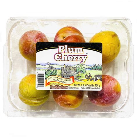 cherry plum recipes 2