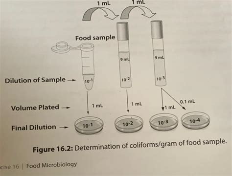 Solved How To Calculate Colony Forming Units Cfu Or