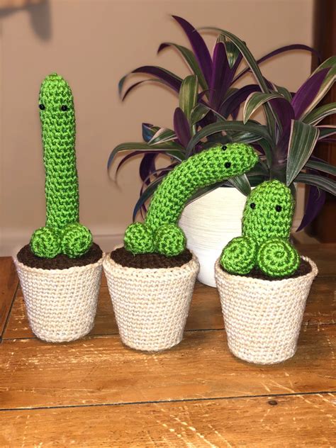 Crochet Cactus Crochet Coctus Penis Willy Amigurumi With Basket 18