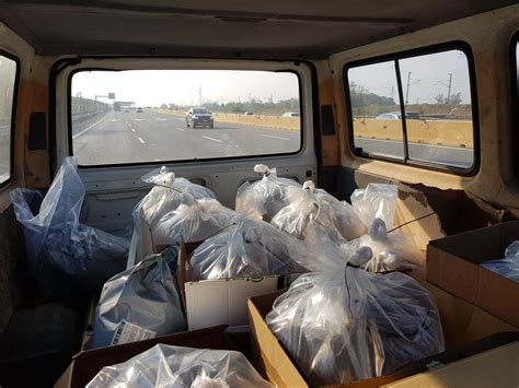 New location for our Adriatic sturgeons 21.11.2020 – ENDEMIXIT