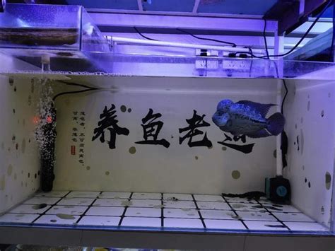 大部分魚友開缸不成功、養水速度緩慢，根本不該添加硝化細菌問題