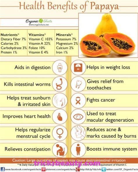 13 Surprising Benefits Of Papaya Pawpaw Fruit Health Benefits