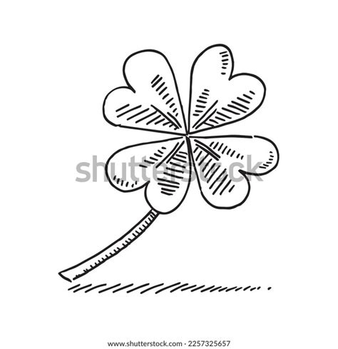 Handdrawn Vector Drawing Lucky Clover Symbol Stock Vector (Royalty Free ...