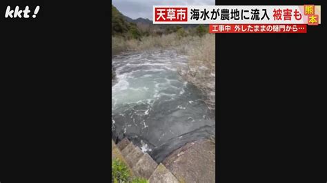 【工事の不手際】東京ドーム4個分の農地に海水が流入し農業被害 熊本県が謝罪し示した対策は（2024年3月4日掲載）｜kkt News Nnn