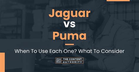 Jaguar vs Puma: When To Use Each One? What To Consider