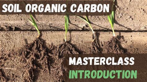 Introduction to Soil Organic Carbon - Soil Learning Center