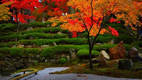 永源寺庭園の紅葉1366×768 日本の風景大型サイズ無料壁紙