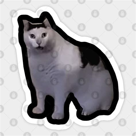 Huh Cat Meme - Huh Cat Meme - Sticker | TeePublic