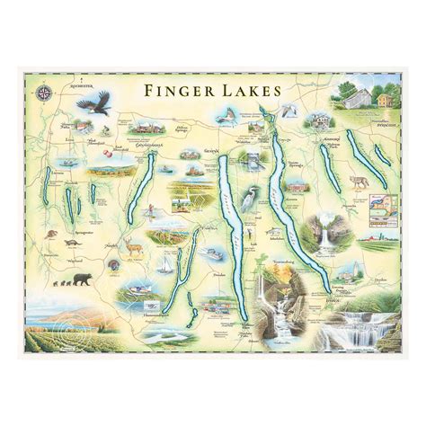 Finger Lakes Hand-Drawn Map - Xplorer Maps