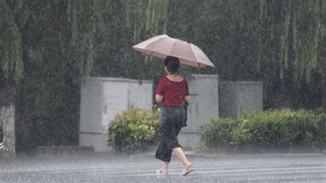 China Renews Yellow Alert For Rainstorms Shine News