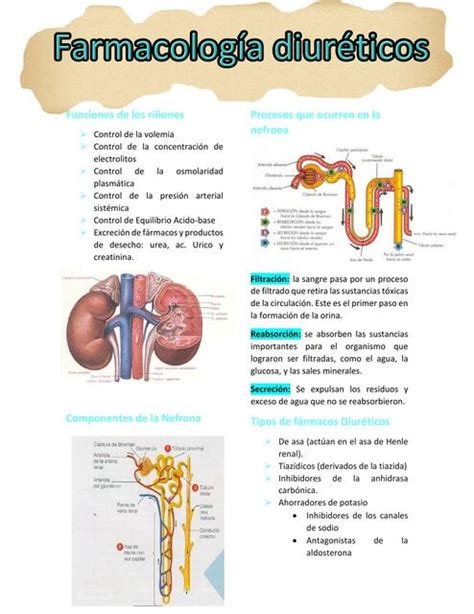 Farmacología diuréticos Maria Camila Villamizar uDocz