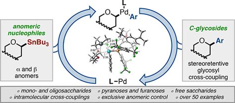 Glycosyl Cross Coupling Of Anomeric Nucleophiles Scope Mechanism And