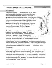 4. Diffusion & Osmosis in Elodea densa.docx - Diffusion & Osmosis in ...