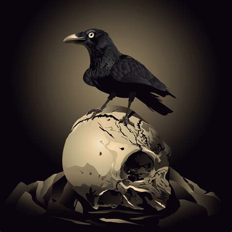 Crow With Skull Vector Raven On A Broken Skull 13376826 Vector Art At Vecteezy