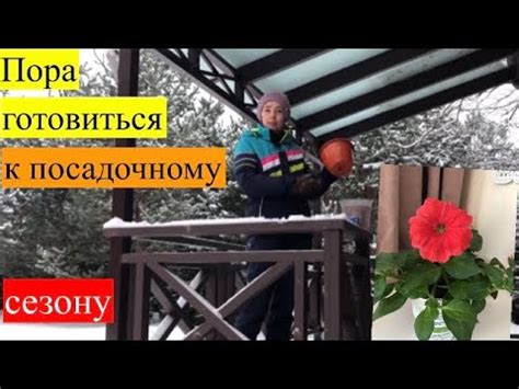 Стаканчики для рассады: для посева - пикировки - перевалки. Есть и ...
