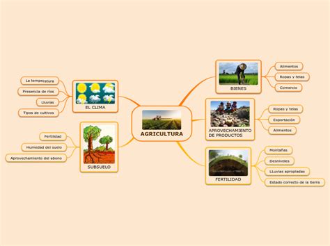 Mapa Mental De La Agricultura Sencillo Actualizado Octubre 2022 Porn