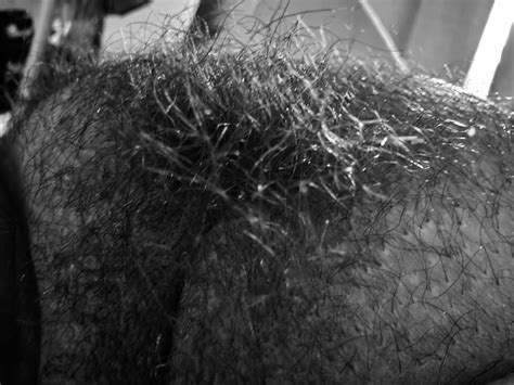 Free Pound Town Porn Videos Xhamster