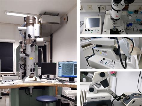 Ultrastructural Electron Microscopy Facility | er-c 
