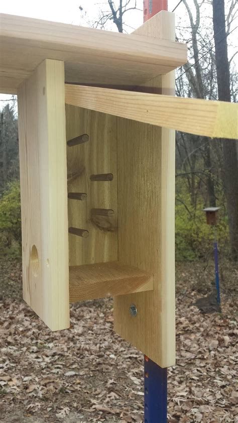Raw Cedar Songbird Roosting Box With Cleanout 16 X - Etsy | Bird houses