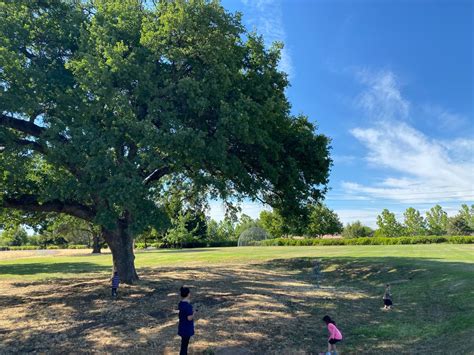 Cooley Middle School - Roseville, CA | UDisc Disc Golf Course Directory | UDisc