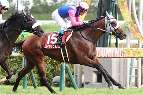 【菊花賞】メイショウタバル1週前追い切りで鋭く伸びて先着 浜中俊「きょうが一番良かった」 東スポ競馬 Goo ニュース