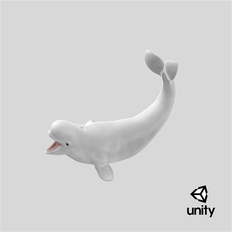 Beluga Whale Young Playful Pose 3d Model 99 3ds Blend C4d Fbx