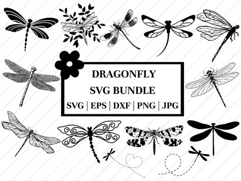 Dragonfly Svg Bundle Insect Svg Dragonfly Vector Dragonflies Wings