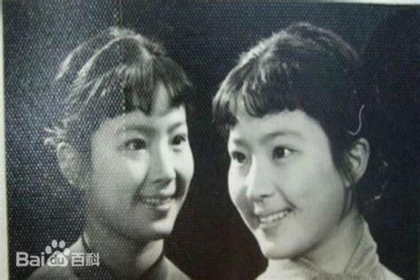 刘晓莉（舞者、刘亦菲的母亲）_百度百科