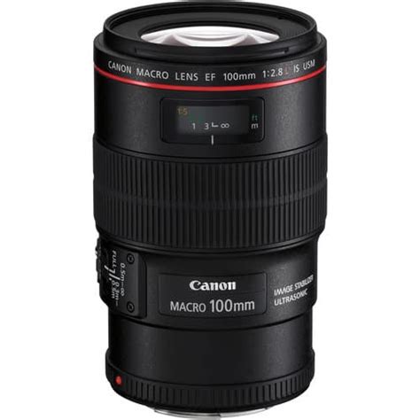 What Is a Macro Lens Used for When Taking Photographs?