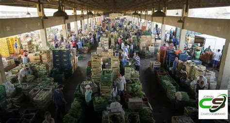 Motivos Para Escolher A Distribuidora De Frutas Da Ceasa Para Frutas