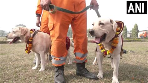 Ndrf Personnel Deployed To Rescue Earthquake Hit Turkey Arrives In India