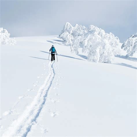 Photos: Winter at Niseko Ski Resort in Hokkaido -Enjoy the powder snow